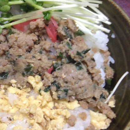 二色丼って、なぜか遠足気分を思い出します。

ごちそーさま。